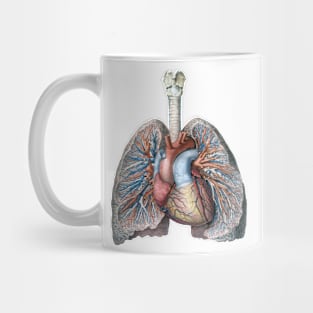 Vintage Science and Human Anatomy with Lungs, Heart, Organs and Blood Vessels Mug